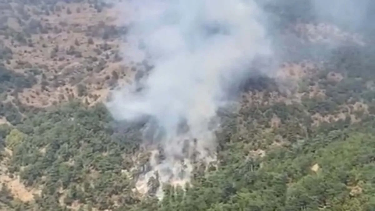 İzmir’de korkutan orman yangını